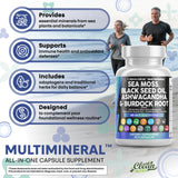 Comparación de tamaño Clean Nutraceuticals con mano para referencia de dosificación