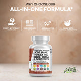 Clean Nutraceuticals polvo de hongos en cuchara destacando textura pura
