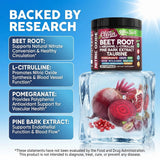 Clean Nutraceuticals polvo de remolacha muestra pureza y potencial óxido nítrico