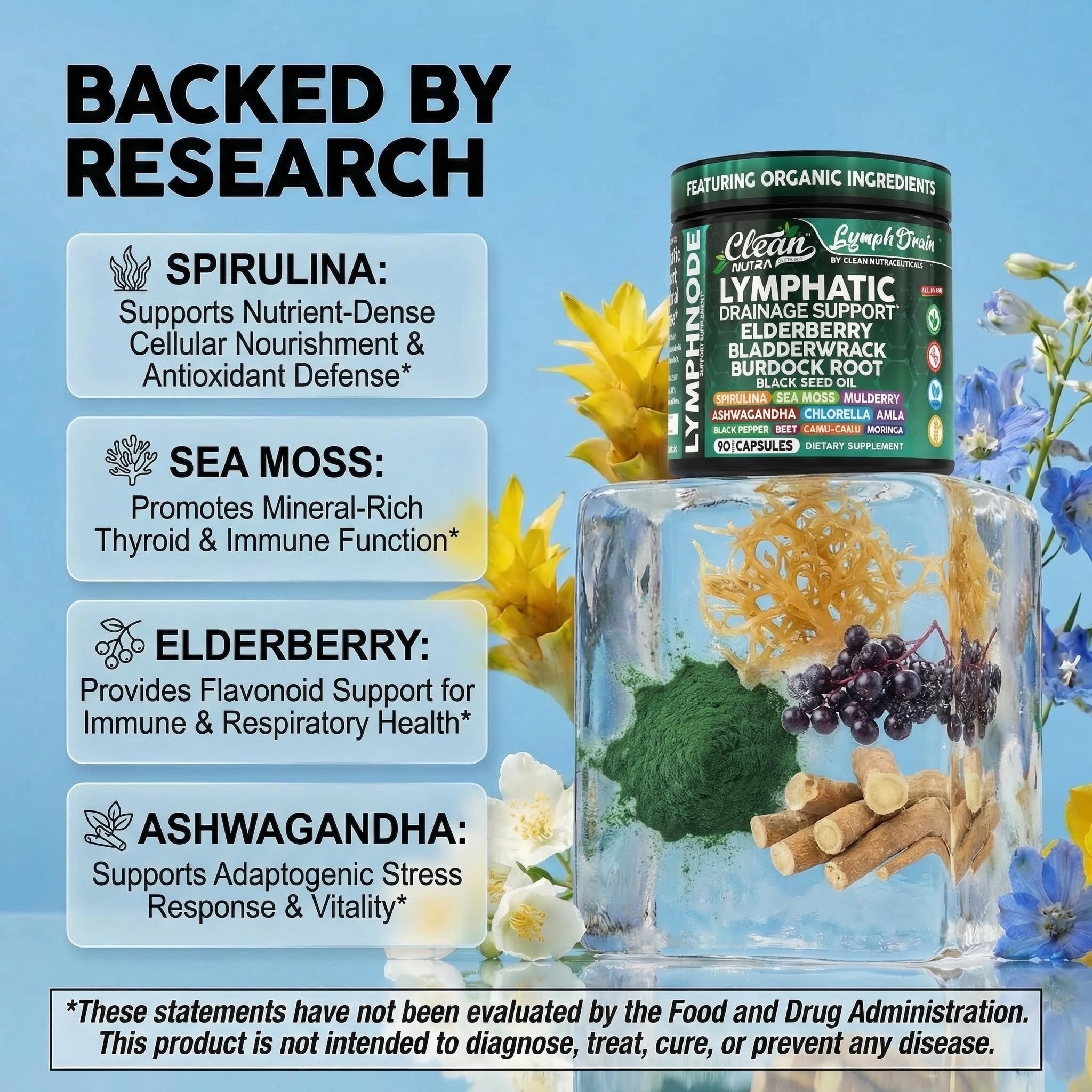 Clean Nutraceuticals textura de polvo de spirulina vista de cerca, nutritiva