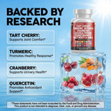Clean Nutraceuticals textura del extracto en polvo como concentrado natural