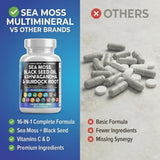 Clean Nutraceuticals cápsulas junto a vaso de agua para uso diario práctico