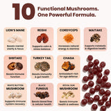 Clear Probiotics etiqueta del producto con lista de 10 hongos y pureza verificada