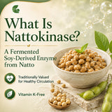 Clenoriko ingredientes natto fermentado mostrando origen vegetal