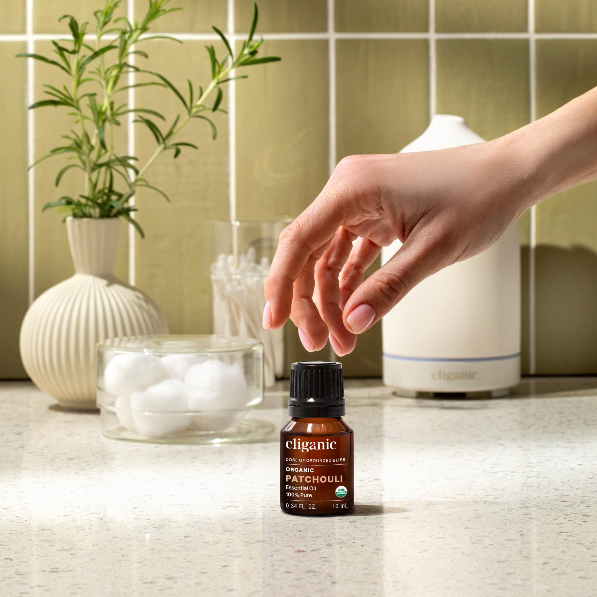 Cliganic hojas de patchouli que muestran origen botánico