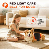Clocness correas ajustadas comparando tallas, sirve para perros pequeños y grandes