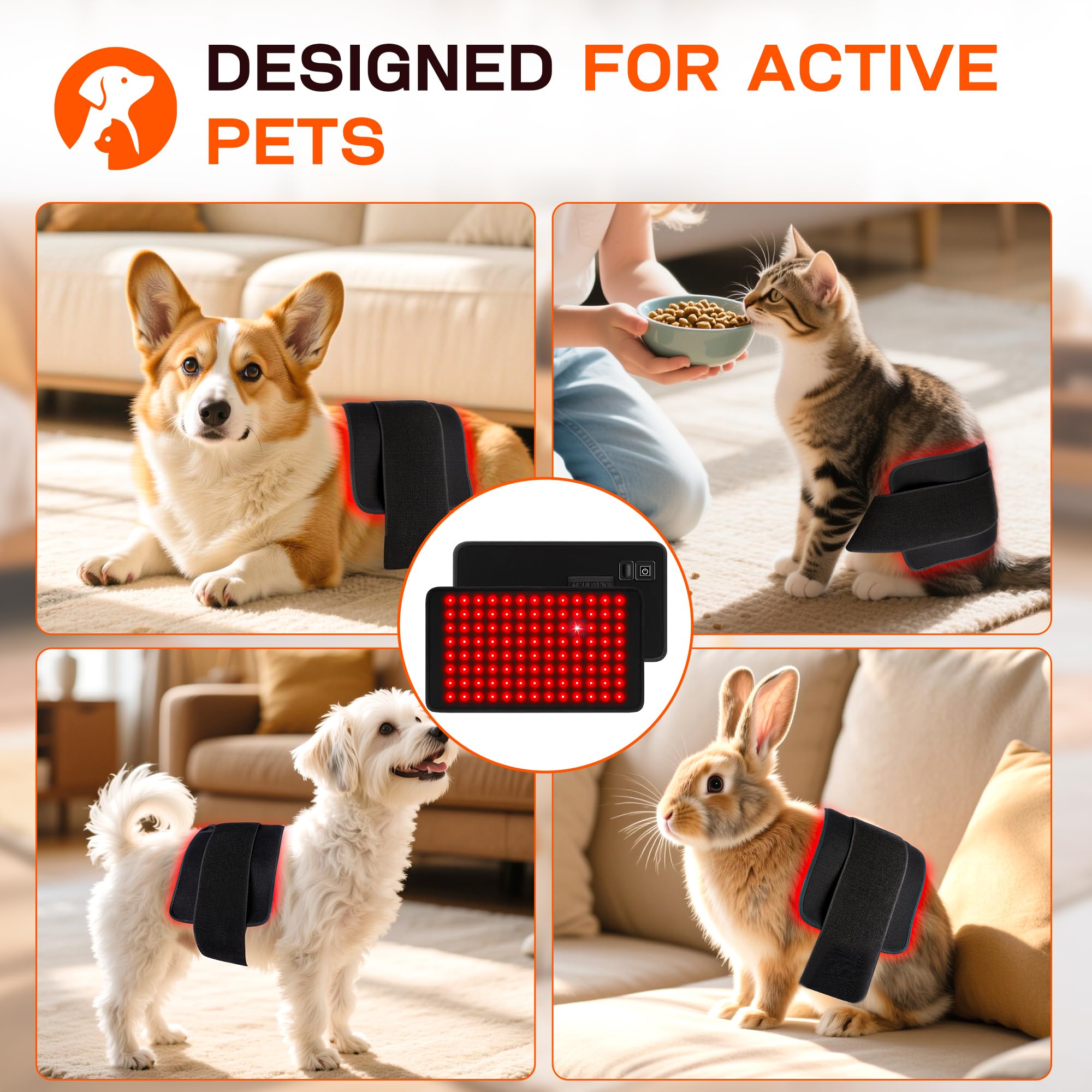 Clocness masa relajada de mascota mientras recibe luz, diseño apto para descanso