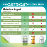 Coast to Coast Nutrition ingredientes primarios sobre mesa mostrando naturalidad