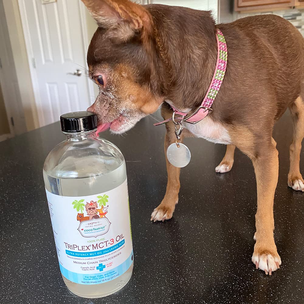 CocoTherapy aceite añadido a pienso de perro para energía inmediata