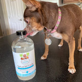 CocoTherapy aceite añadido a pienso de perro para energía inmediata
