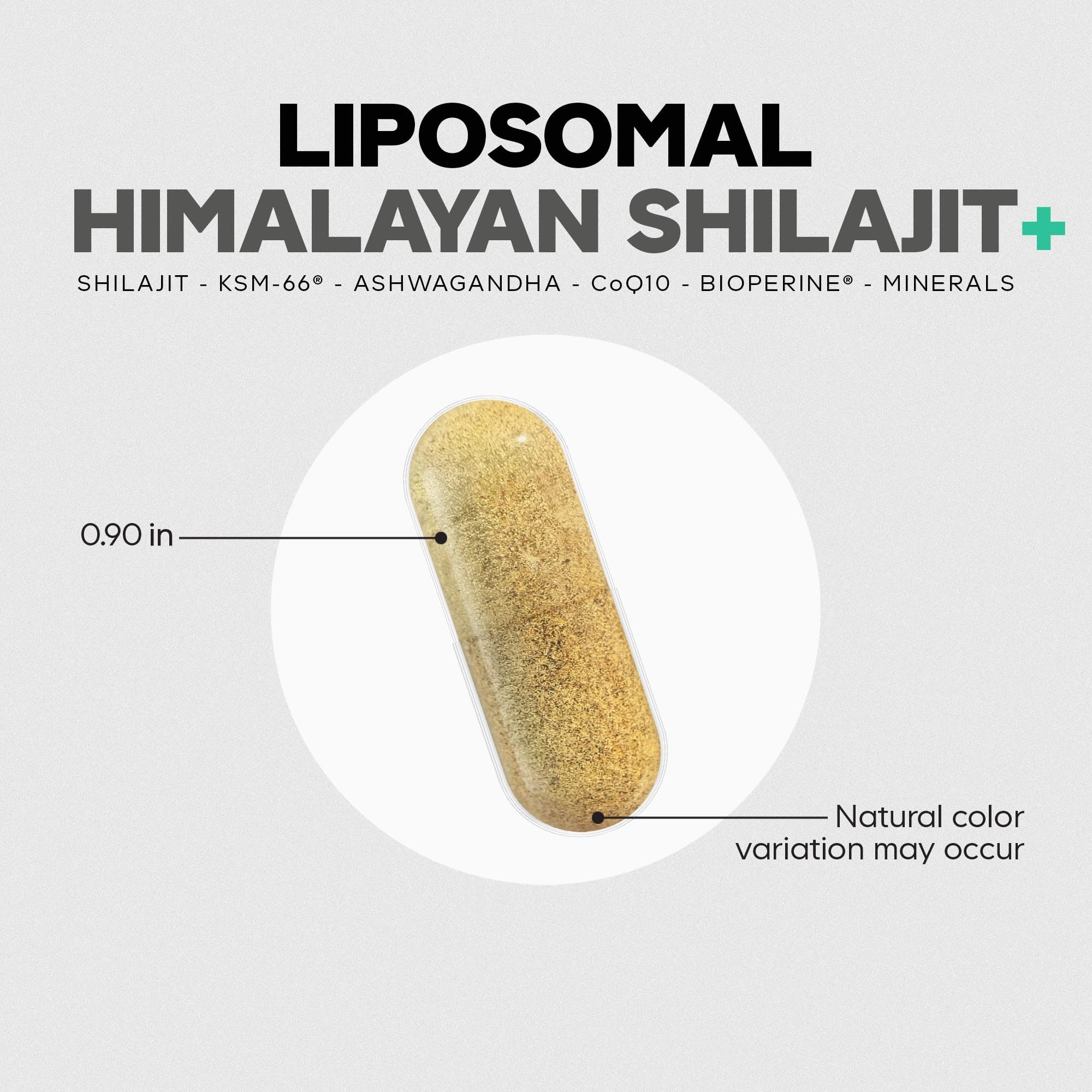 Codeage diagrama liposomal explicando entrega y protección