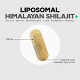 Codeage diagrama liposomal explicando entrega y protección