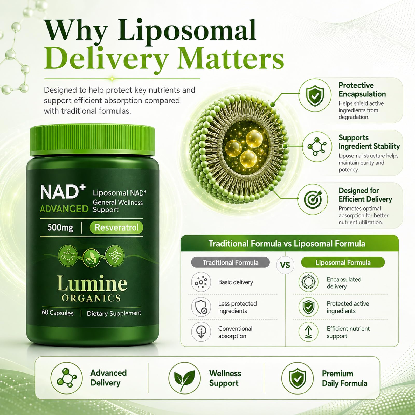 COLEPSW diagrama de tecnología liposomal que ilustra mejor entrega