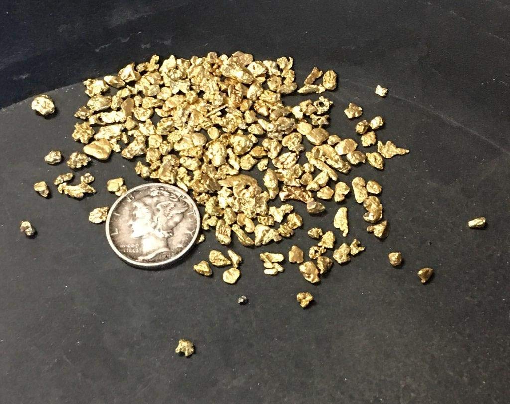 Colorado Gold Paydirt escamas y pequeña pepita ampliadas para identificar hallazgos