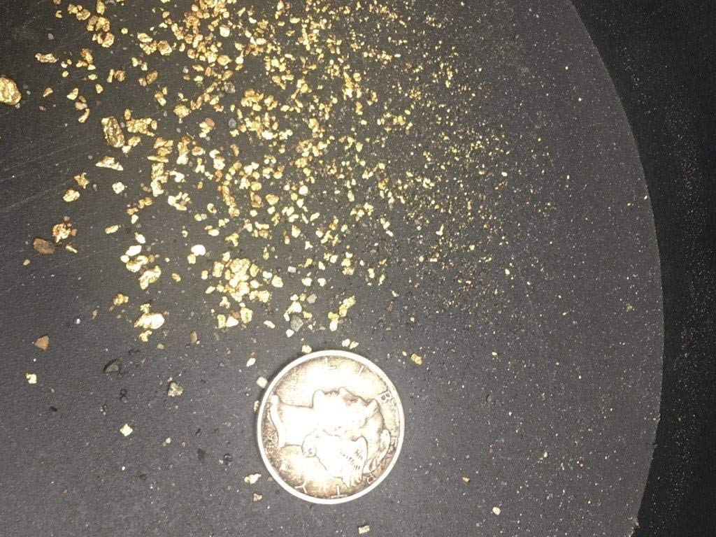 Colorado Gold Paydirt ambiente familiar panning en exterior destaca experiencia