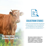 Colostrum-LD cucharada medidora con polvo, control preciso de porciones