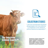 Colostrum-LD etiqueta y lista de ingredientes visible y clara