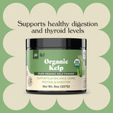 Cuchara con polvo de kelp Complete Natural Products lista para medir y añadir recetas