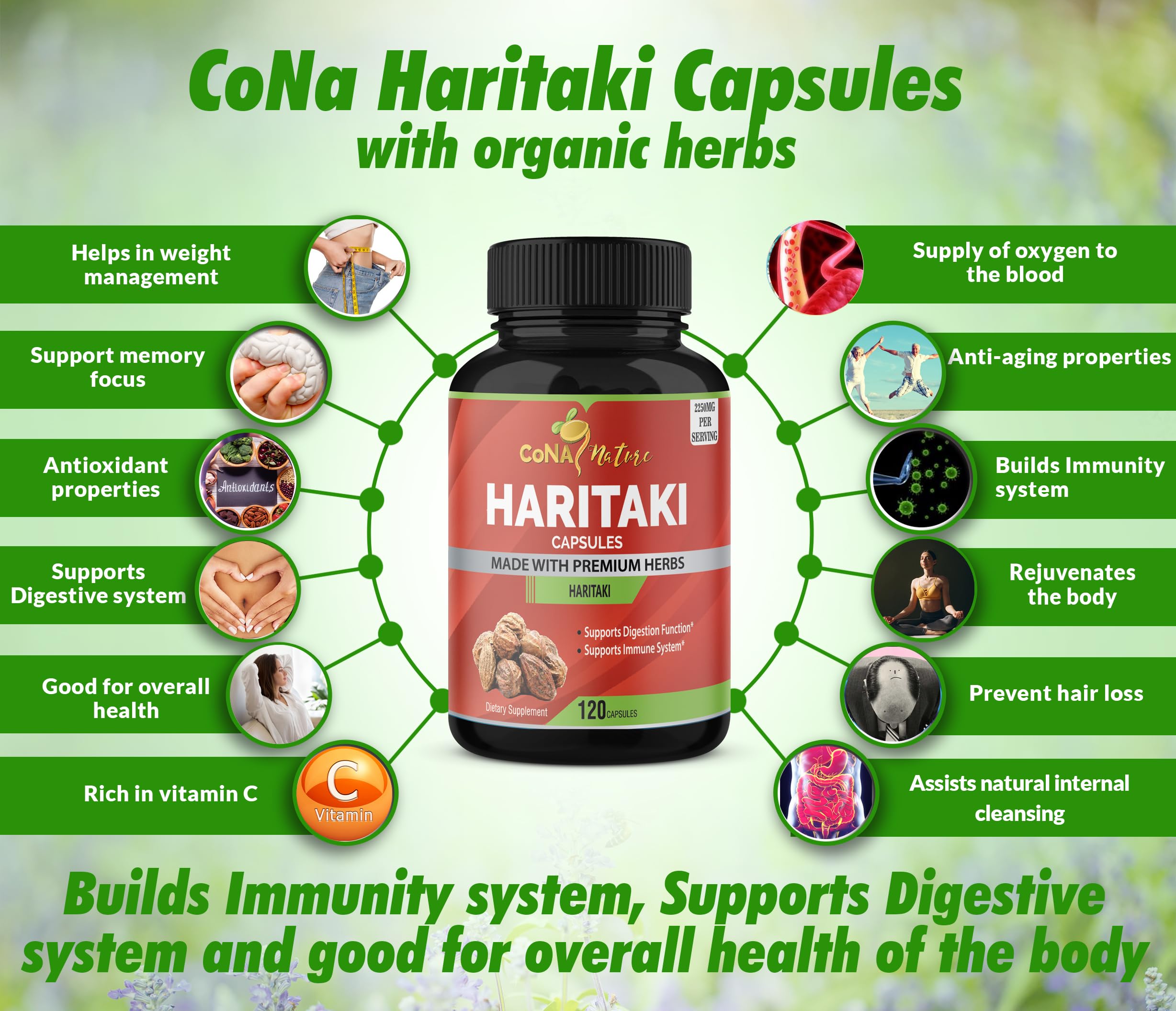 Cona Nature fruto de Haritaki crudo que evidencia origen natural