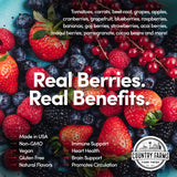 Country Farms ingredientes secos dispuestos (bayas y polvos), variedad nutritiva visible
