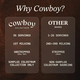 Textura en primer plano del polvo Cowboy Colostrum cremoso y sin grumos