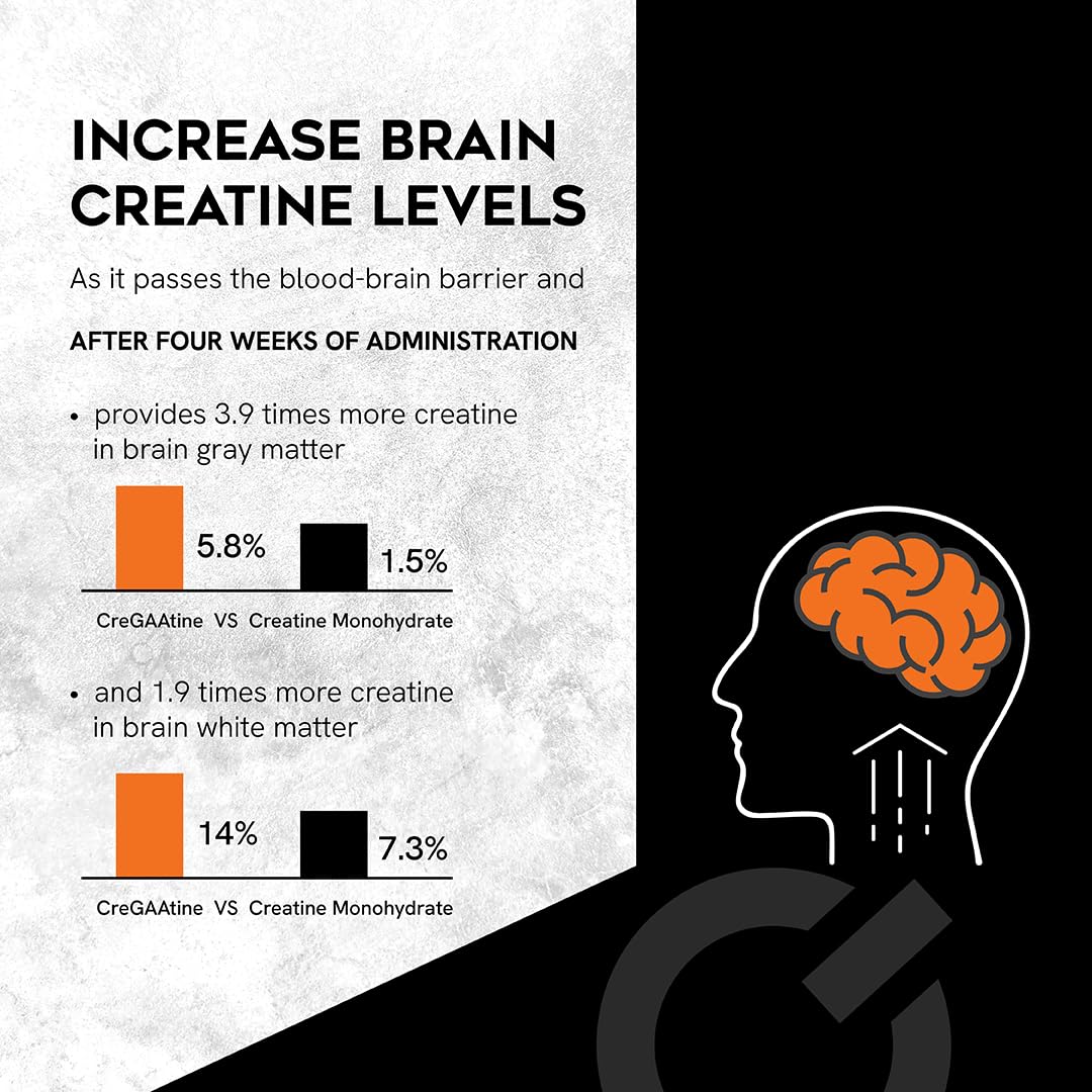 Polvo micronizado CreGAAtine mostrando textura fina para rápida disolución