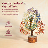 Crocon árbol en mano para comparar tamaño y escala real