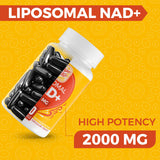 Cuerpo Sano cápsula abierta mostrando el contenido liposomal bien protegido