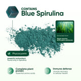 Cured espirulina azul en polvo, fuente de proteínas y fitonutrientes