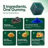 Cured vista cercana de ingredientes secos: shilajit, sea moss y fenogreco