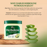 Dabur Herbolene aplicación en mano para proteger piel seca