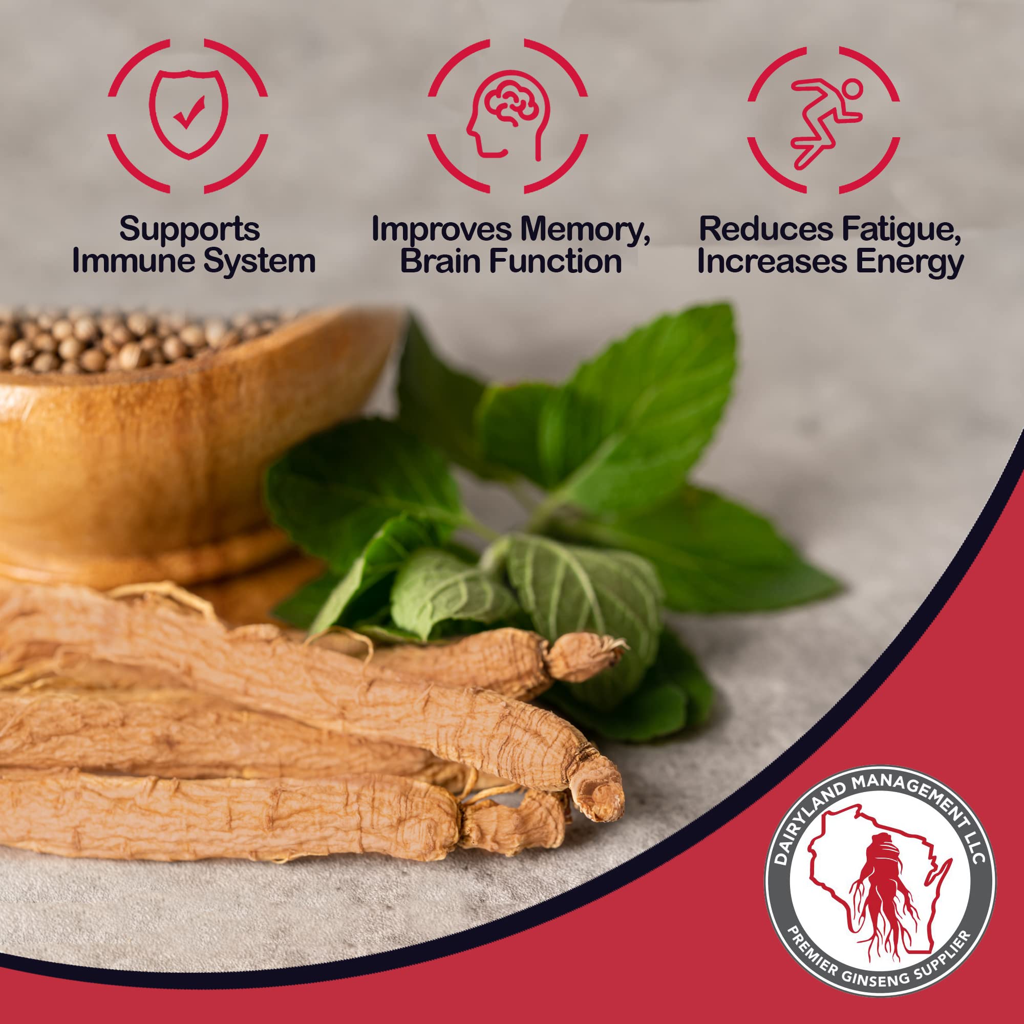 Dairyland ginseng en té infusionado preparado para bebida reconfortante