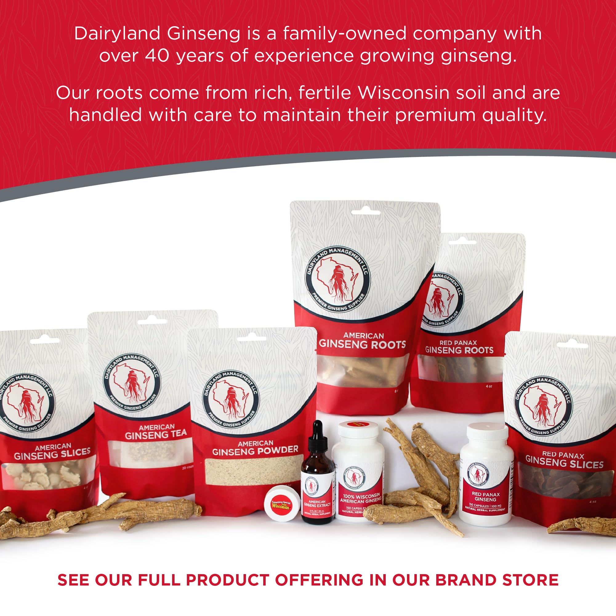 Dairyland Management LLC rebanadas junto a moneda para comparar tamaño y porción