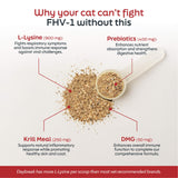 Daybreak Nutrition gato comiendo alimento con suplemento añadido contento