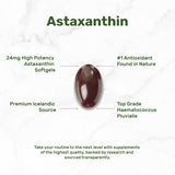 DEAL SUPPLEMENT textura del aceite dentro de la softgel, absorción optimizada