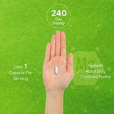 DEAL SUPPLEMENT cápsula abierta mostrando polvo del complejo 10-en-1, mezcla completa