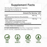 DEAL SUPPLEMENT cápsulas vegetales en mano para visualizar tamaño y facilidad de uso