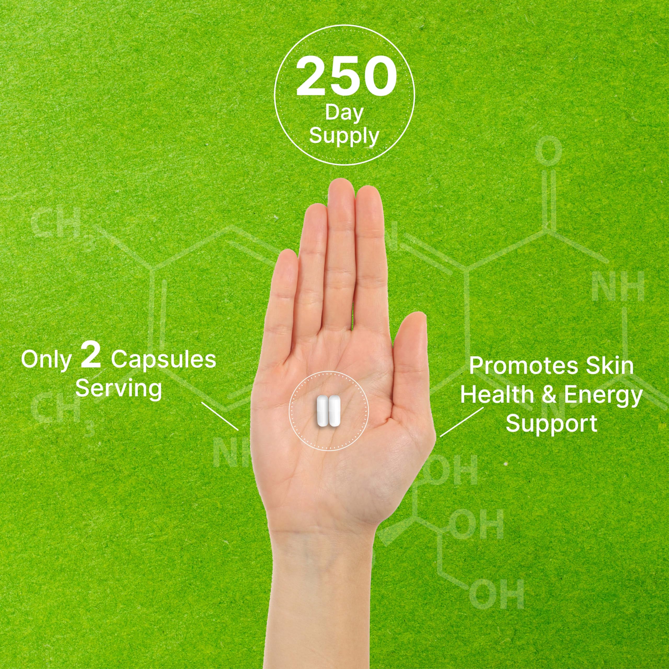 DEAL SUPPLEMENT etiqueta legible con ingredientes y certificación Non-GMO