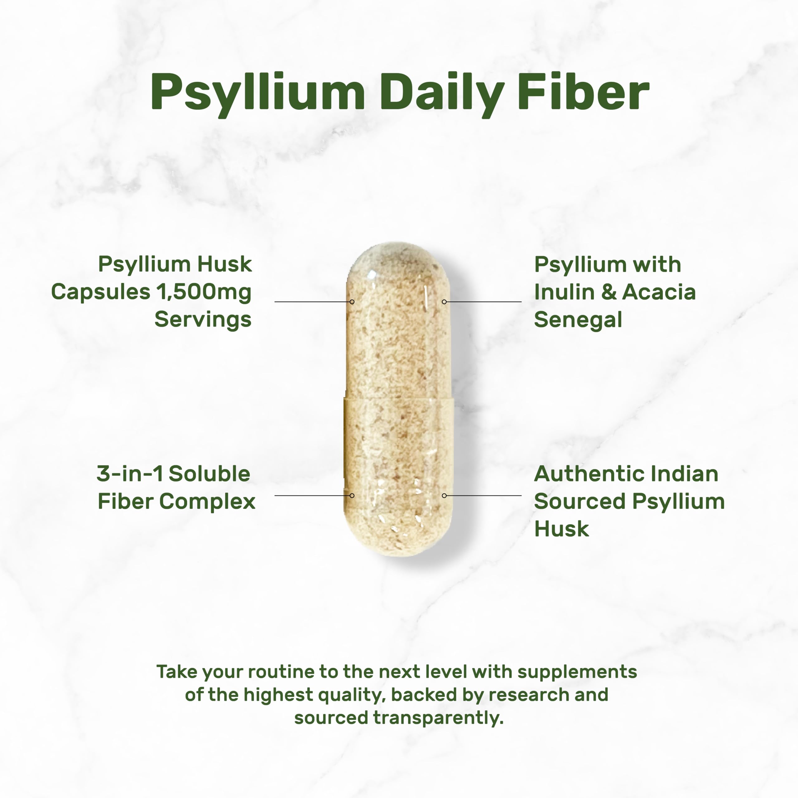 DEAL SUPPLEMENT textura del polvo de psyllium que muestra pureza y origen