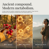Dear Apothecary cápsulas vegetales en mano mostrando facilidad de uso
