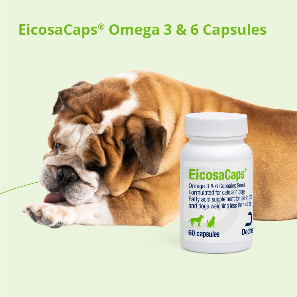 Dechra EicosaCaps mascota con pelaje brillante, apoyo visible a la piel