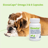 Dechra EicosaCaps mascota con pelaje brillante, apoyo visible a la piel