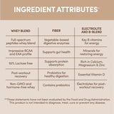 Designer Wellness bote 4 lb comparado con mano para escala visual