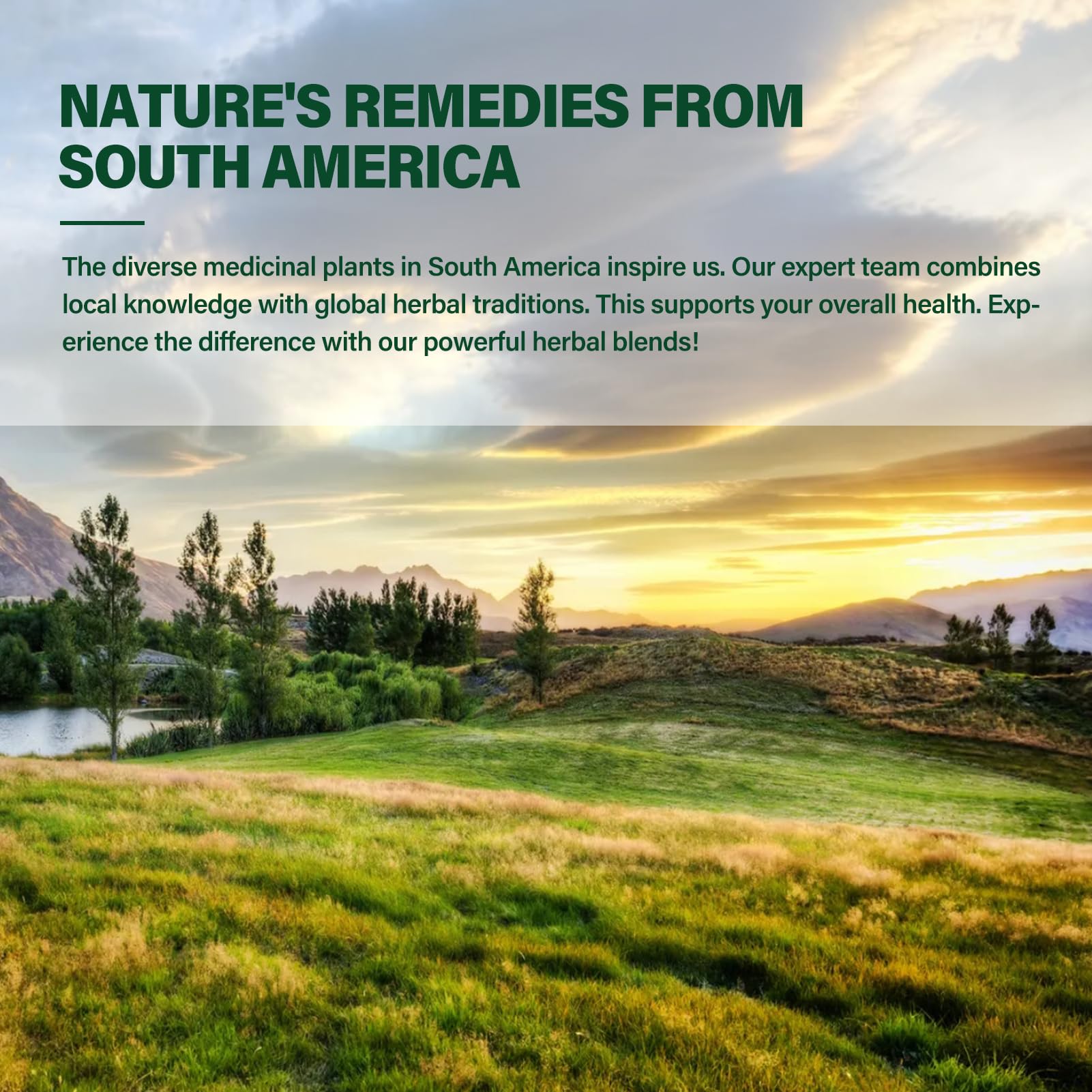 DetoxenNATURE selección de hierbas: cleavers, diente de león y reishi frescas