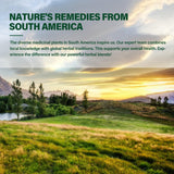 DetoxenNATURE selección de hierbas: cleavers, diente de león y reishi frescas