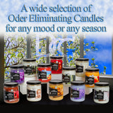 Dianne's Custom Candles ambiente de sala con Bamboo creando aroma agradable y limpio