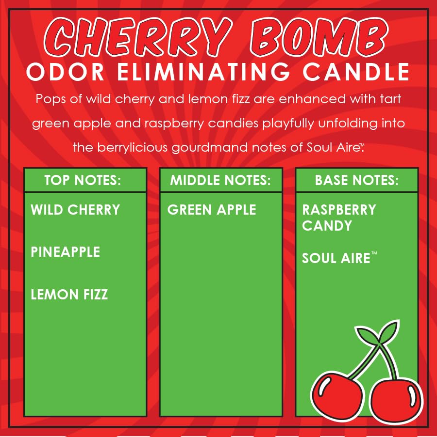 Dianne's Custom Candles vela Cherry Bomb encendida en sala renovando olores y ambiente