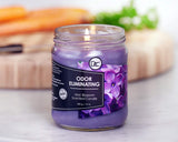 Dianne's Custom Candles vela encendida en sala neutraliza olores y crea ambiente