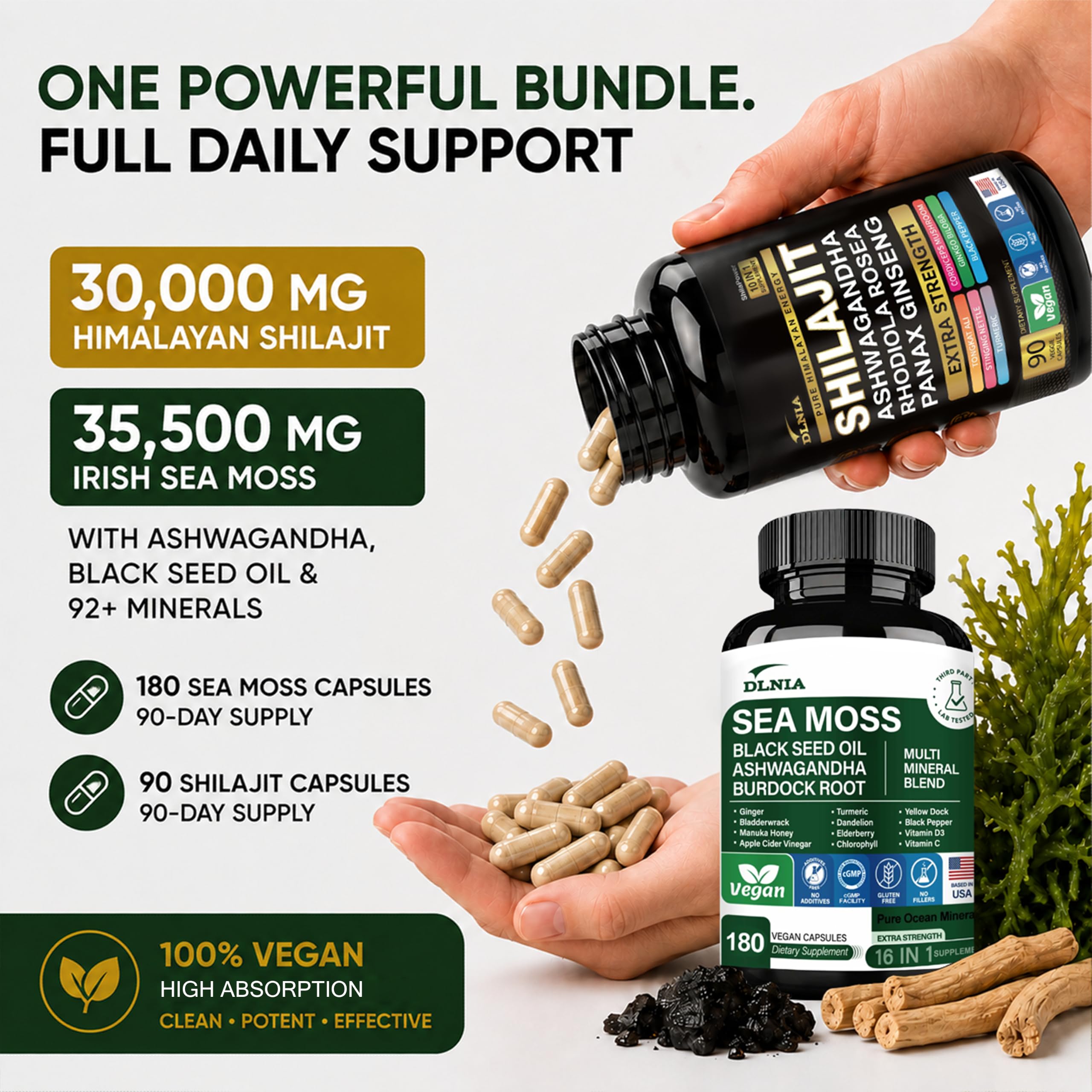 DLNIA frasco de Sea Moss mostrando lista de botanicals