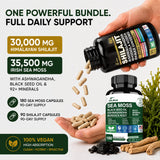 DLNIA frasco de Sea Moss mostrando lista de botanicals